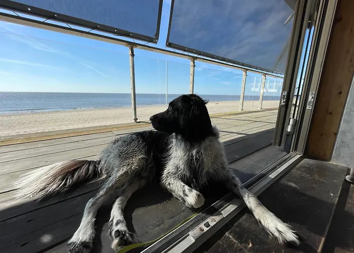 Vakantiehuis Strandparel 77 *