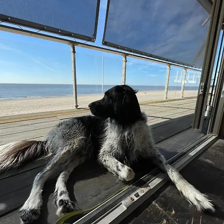 بيت للعطل Strandparel 77 *